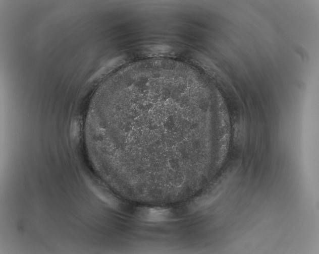 X0000113260165200910011415