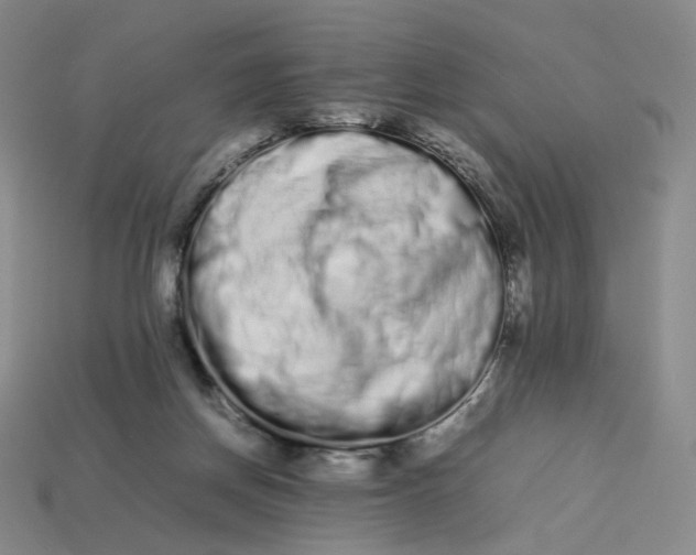 X0000113260166200910011415