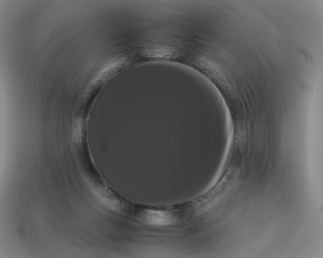 X0000113260167200910011415