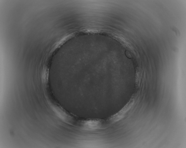 X0000113260168200910011415
