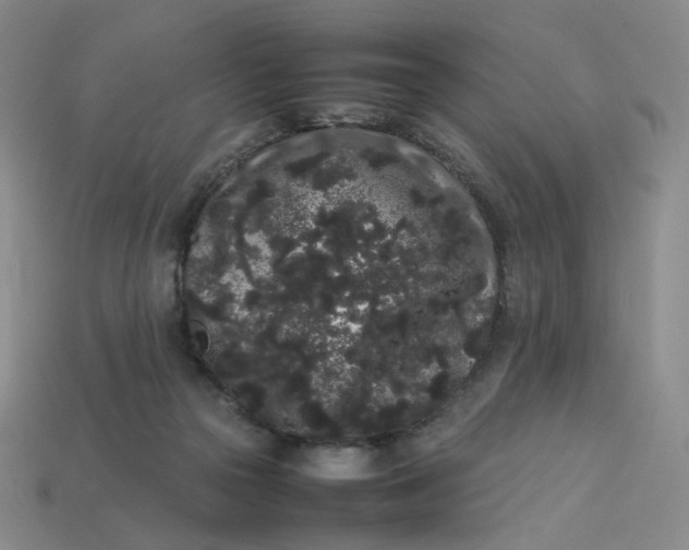 X0000113260169200910011415