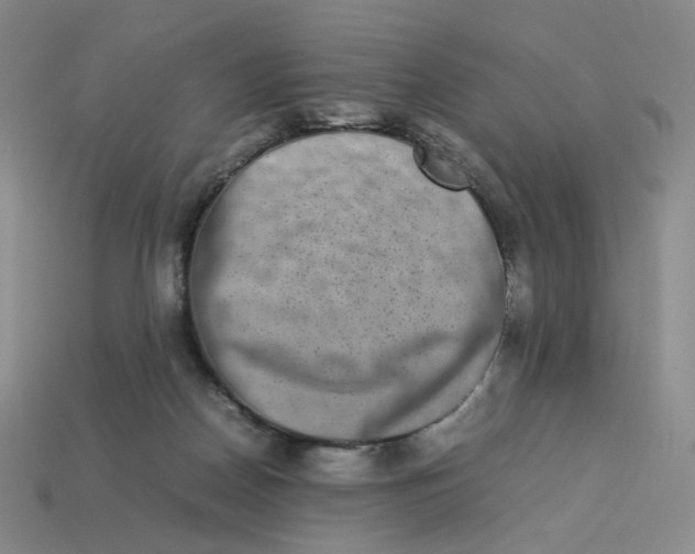 X0000113260170200910011415