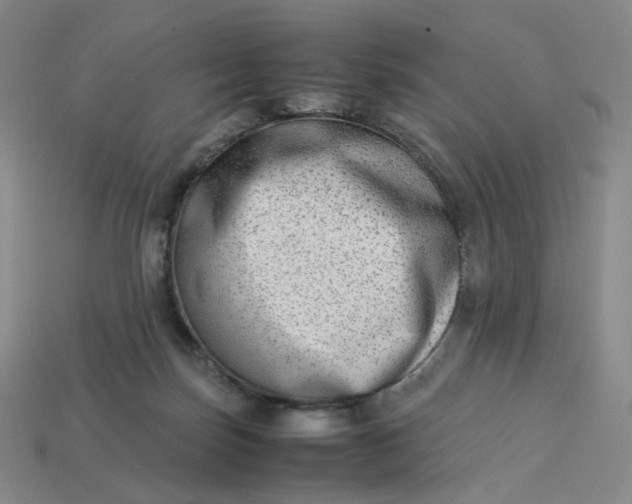 X0000113260171200910011415