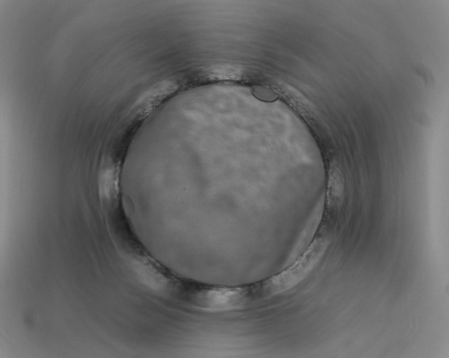 X0000113260172200910011415