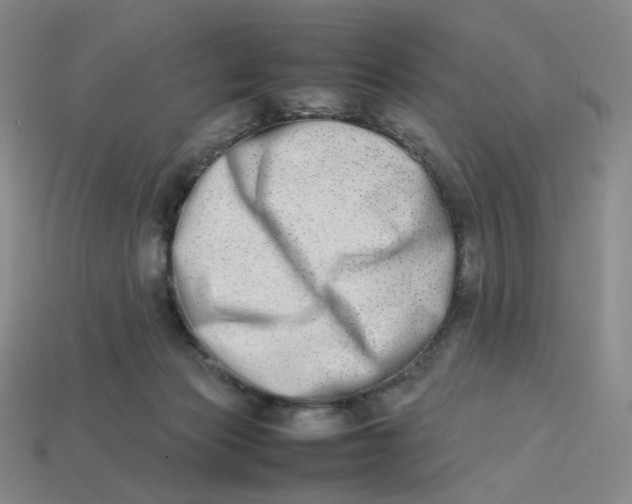 X0000113260173200910011415