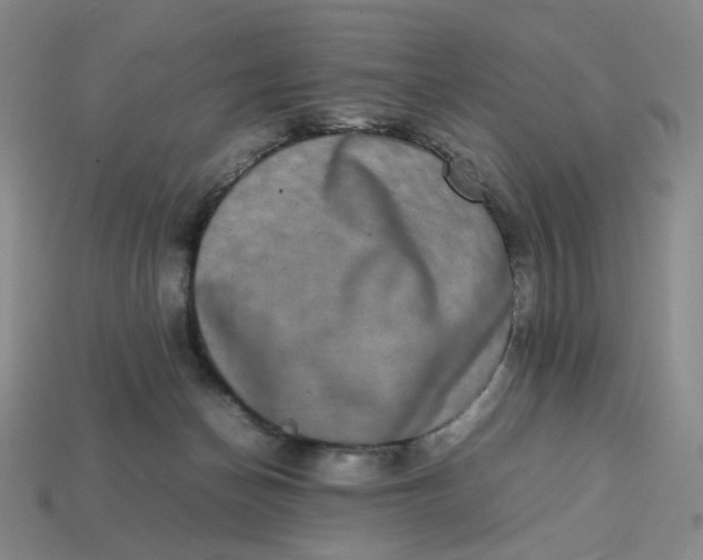 X0000113260174200910011415