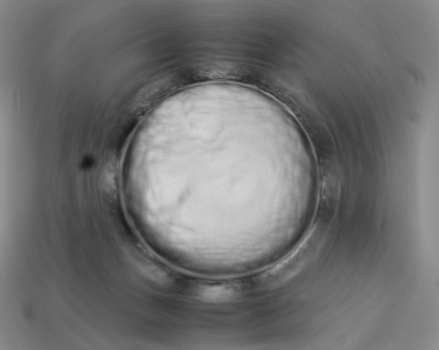 X0000113260175200910011415