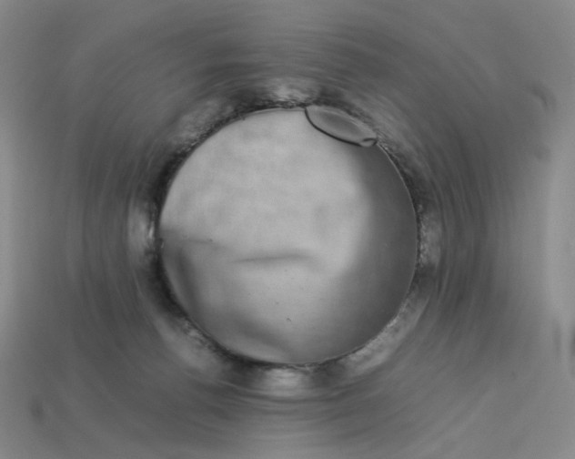 X0000113260176200910011415
