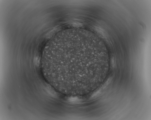 X0000113260177200910011415