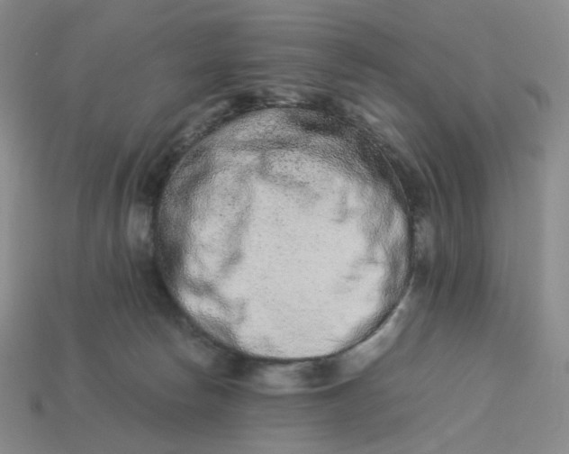 X0000113260178200910011415