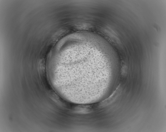 X0000113260179200910011415