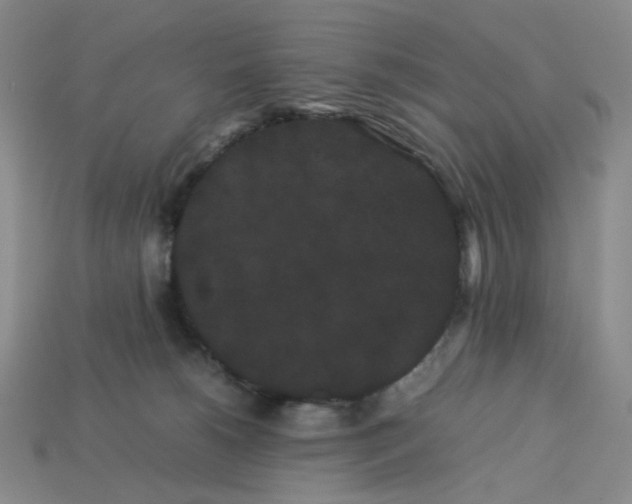 X0000113260180200910011415