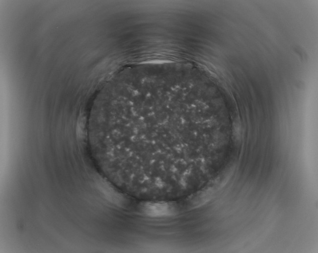 X0000113260181200910011415
