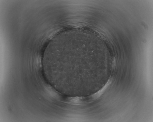 X0000113260182200910011415