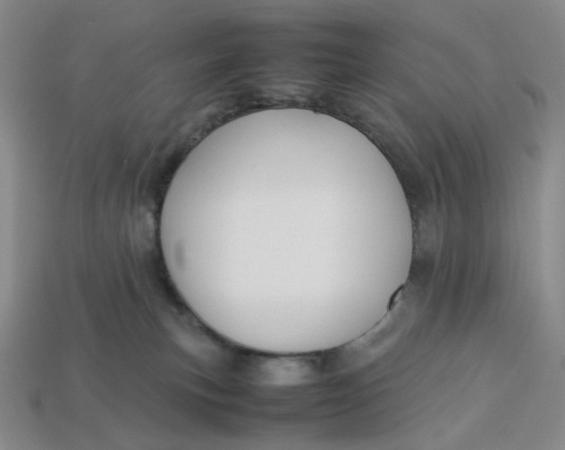 X0000113260183200910011415