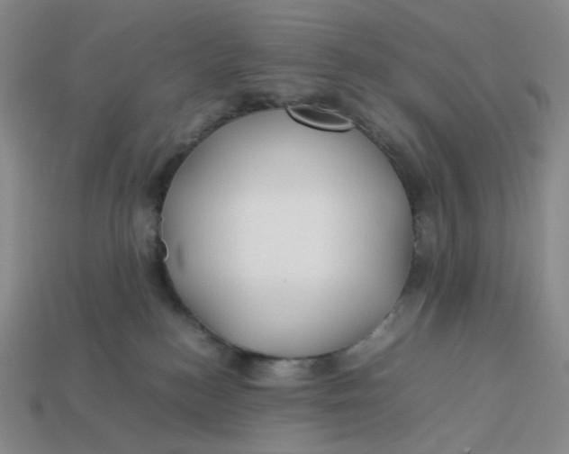 X0000113260184200910011415