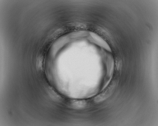 X0000113260185200910011415