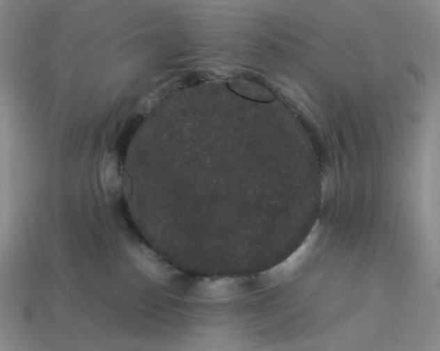 X0000113260186200910011415