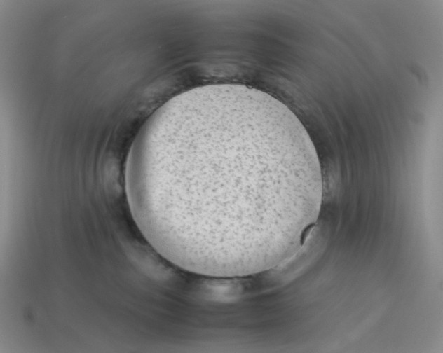 X0000113260187200910011415