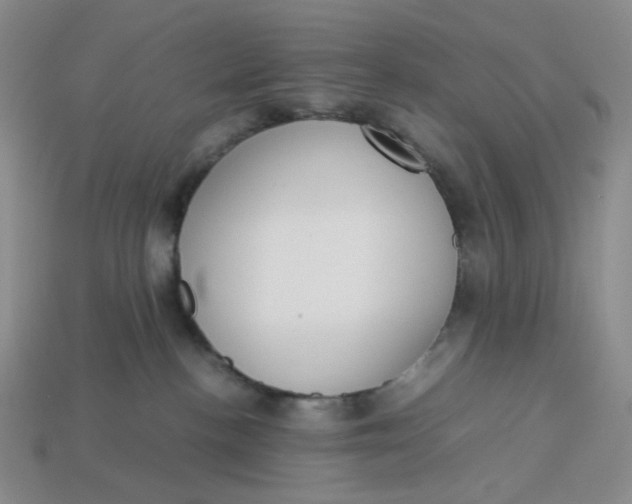 X0000113260188200910011415