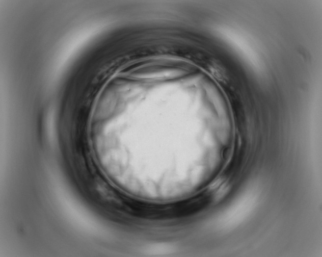 X0000113260189200910011415