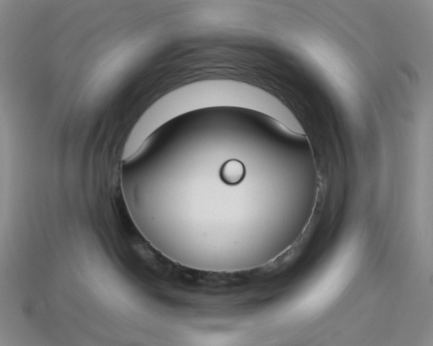 X0000113260190200910011415