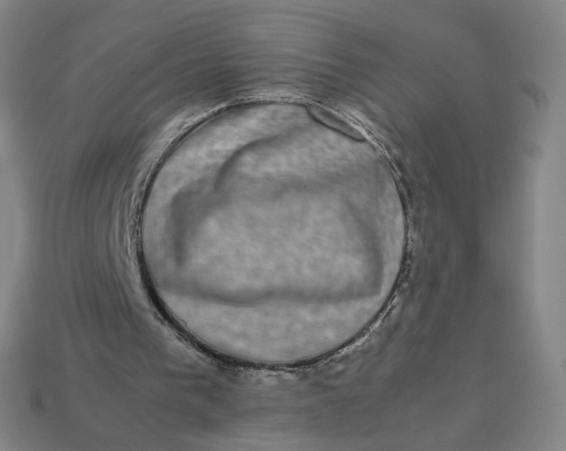 X0000113260193200910011415