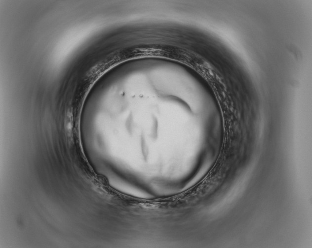 X0000113260194200910011415