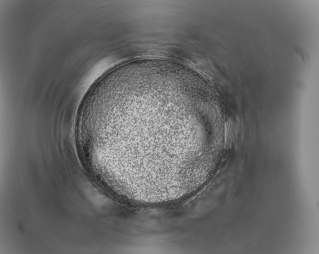 X0000113260195200910011414