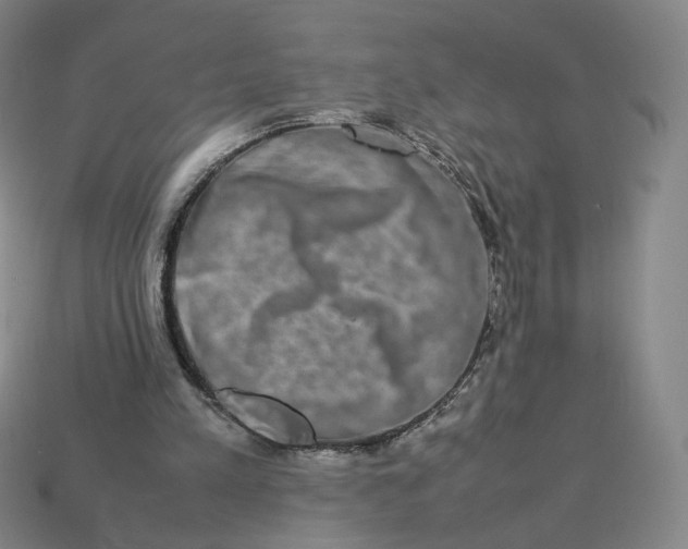 X0000113260197200910011414