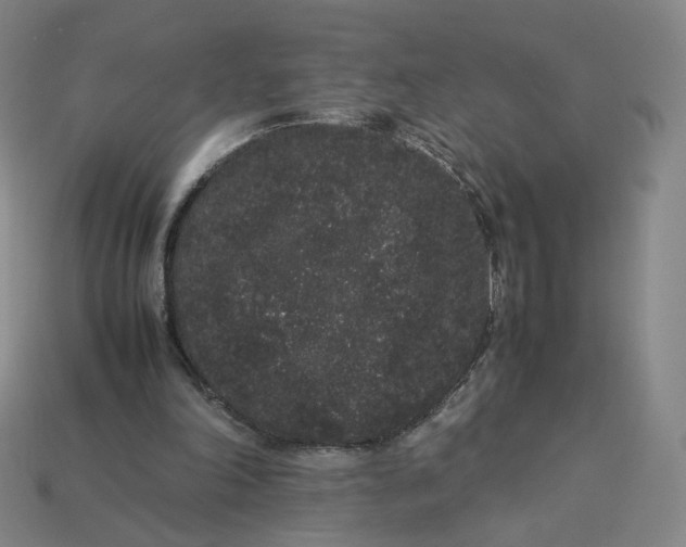X0000113260198200910011414