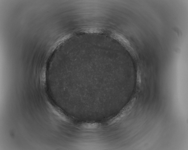 X0000113260202200910011414