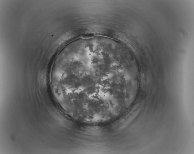 X0000113260203200910011414