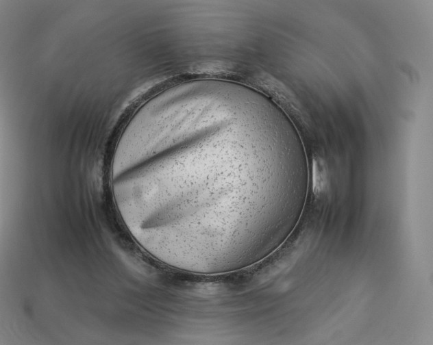 X0000113260204200910011414