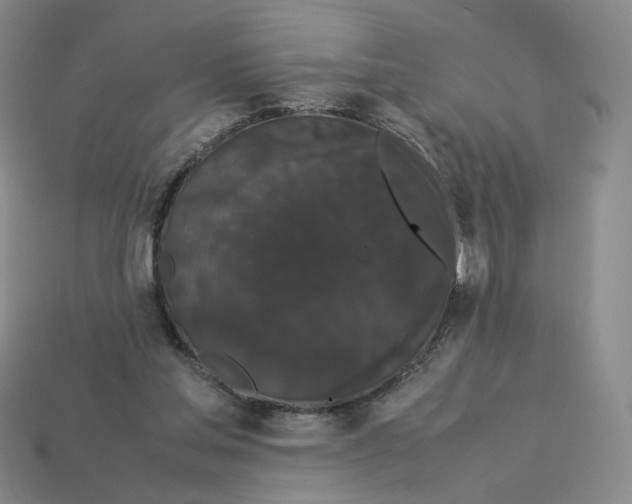 X0000113260205200910011414