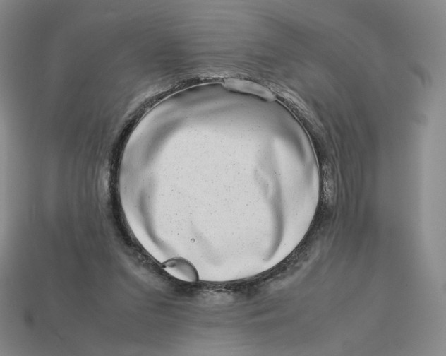 X0000113260207200910011414