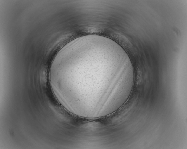 X0000113260210200910011414