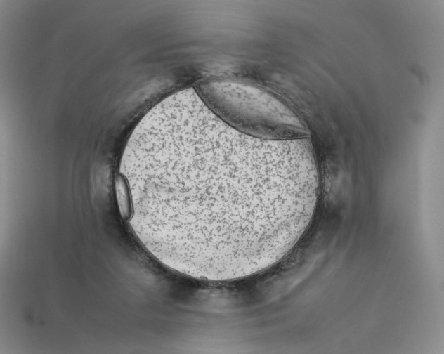 X0000113260211200910011414