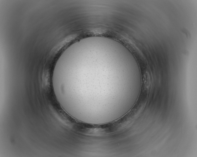 X0000113260212200910011414