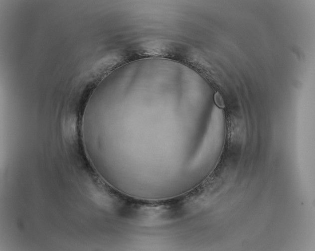 X0000113260213200910011414