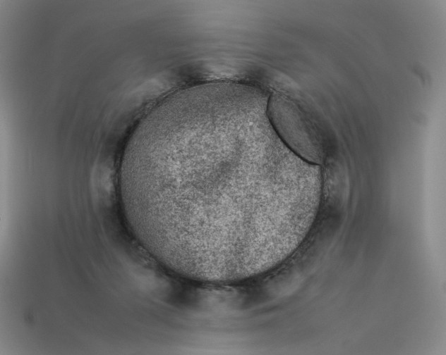 X0000113260215200910011414