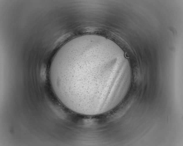 X0000113260216200910011414