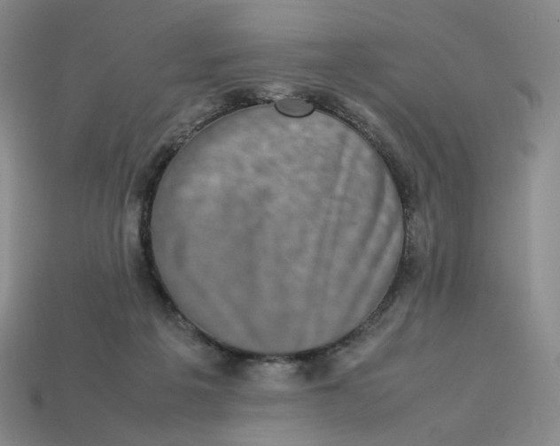 X0000113260217200910011414