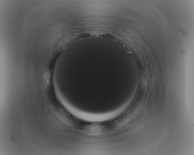 X0000113260219200910011414
