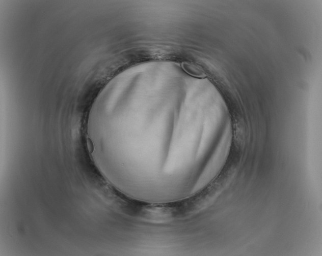 X0000113260221200910011414