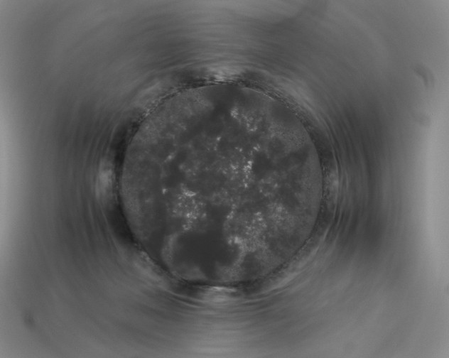X0000113260222200910011414
