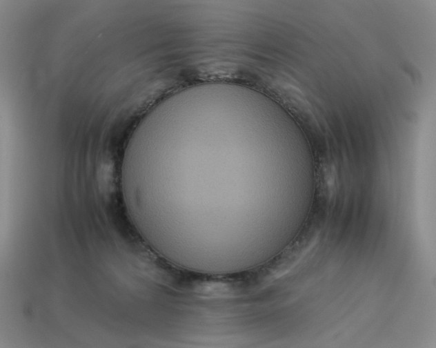 X0000113260224200910011414