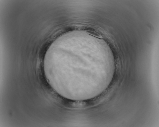 X0000113260225200910011414