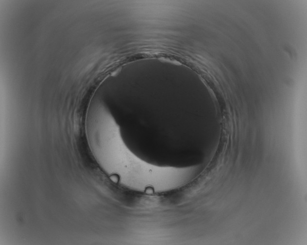 X0000113260227200910011414
