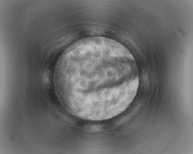 X0000113260228200910011414